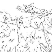 The Little Brave Goat of M. Seguin to color in - Coloring page - FAIRY TALES coloring pages - DAUDET fairy tales coloring pages