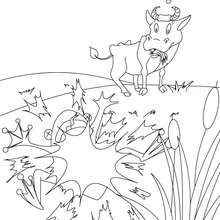 THE FROG THAT WISHED TO BE AS BIG AS THE OX coloring page