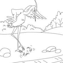 THE HERON fable coloring page - Coloring page - FAIRY TALES coloring pages - Fables of LA FONTAINE coloring pages
