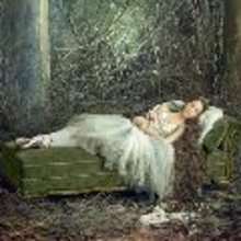 The Sleeping Beauty in the Wood folk tale