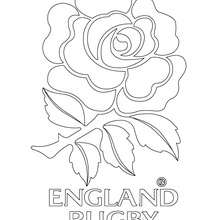 England Rugby team coloring page - Coloring page - SPORT coloring pages - RUGBY coloring pages - RUGBY TEAMS coloring pages