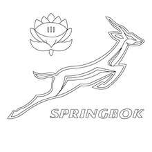 South Africa Spring Box team coloring page