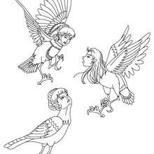 HARPIES the winged spirits coloring page