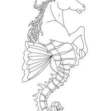 HIPPOCAMPUS the half horse and half fish creature coloring page