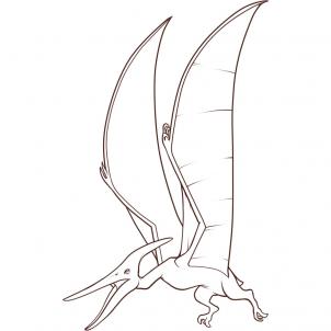 How to draw how to draw a pteranodon - Hellokids.com