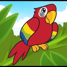 How to Draw a Parrot for Kids how-to draw lesson