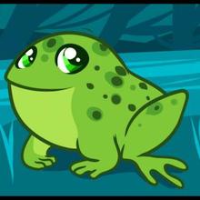 How to Draw a Frog For Kids how-to draw lesson