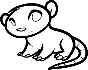 How to draw how to draw a possum for kids - Hellokids.com