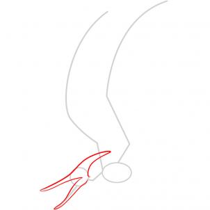 How to draw how to draw a pteranodon - Hellokids.com