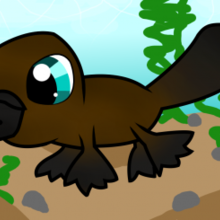 How to Draw a Platypus for Kids how-to draw lesson