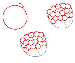 How to draw how to draw berries - Hellokids.com