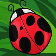 How to Draw a Ladybug for Kids how-to draw lesson