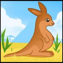 How to Draw a Kangaroo for Kids how-to draw lesson