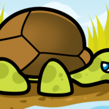 How to Draw a Tortoise for Kids how-to draw lesson