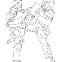 TAEKWONDO combat sport coloring page