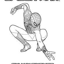 The amazing spiderman coloring pages 