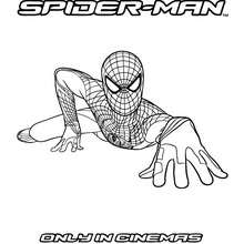 The Amazing Spidey climbing coloring page