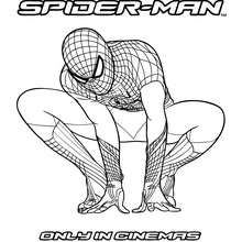 The Amazing Spiderman  online coloring page