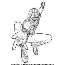 The Amazing Spidey weaving his web coloring page