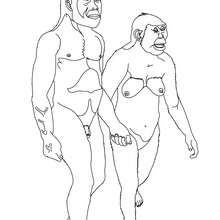 Australopithecus male and female coloring page