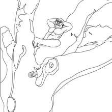Australopithecus sleeping in a tree coloring page - Coloring page - WORLD HISTORY coloring pages - PREHISTORY coloring pages - AUSTRALOPITHECUS coloring pages