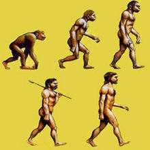 HUMAN EVOLUTION puzzle game