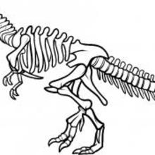 How to Draw a Dinosaur Skeleton, Dinosaur Skeleton how-to draw lesson