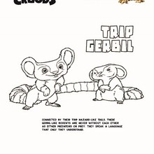 TRIP GERBIL The Croods coloring sheet - Coloring page - MOVIE coloring pages - THE CROODS coloring pages
