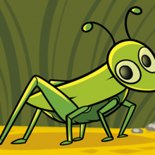 How to Draw a Grasshopper for Kids how-to draw lesson