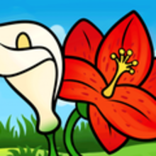 How to Draw Lilies For Kids - Drawing for kids - Drawing tutorials step by step - Flowers For Kids