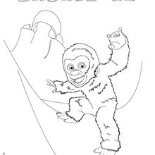 SNOWFLAKE free coloring page to print - Coloring page - MOVIE coloring pages - SNOWFLAKE, the white gorilla coloring pages