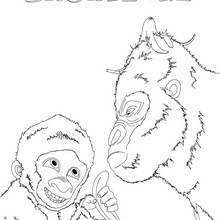 SNOWFLAKE free printing page - Coloring page - MOVIE coloring pages - SNOWFLAKE, the white gorilla coloring pages