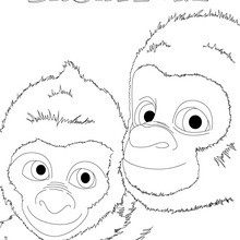 SNOWFLAKE the white Gorilla   out coloring page