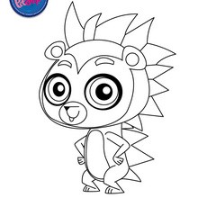 RUSSEL FERGUSON coloring page - Coloring page - GIRL coloring pages - LITTLEST PET SHOP coloring pages