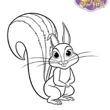 WHATNAUGHT the squirrel coloring page