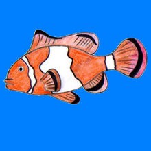 CLOWNFISH drawing lesson