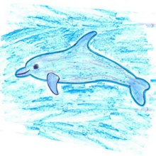 BOTTLENOSE DOLPHIN drawing lesson
