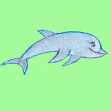 HAPPY DOLPHIN drawing lesson