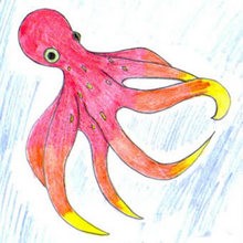 OCTOPUS drawing lesson