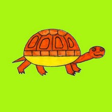 TURTLE drawing lesson