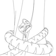 KAA the pithon coloring page