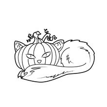 Pumpkin headed cat coloring page