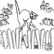 Halloween black cat coloring page