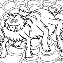 Hair-raising spider coloring page
