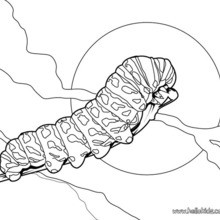 Caterpillar coloring page