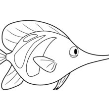 CUTE FISH of OCEANA coloring page