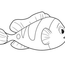 FISH of OCEANA coloring page