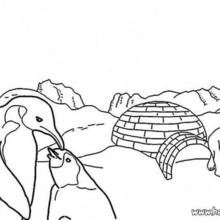 Ice floe coloring page