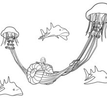 JELLYFISH of OCEANA coloring page