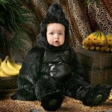 Gorilla homemade costume